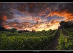 View gallery of Girolamo Cracchiolo