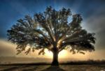 View gallery of Kent Durk