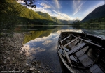 View gallery of Maciek Duczynski