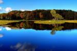 View gallery of John Nyberg