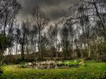 View gallery of Oscar Rasson