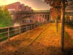 View gallery of Oliver Widder