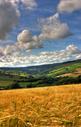 View gallery of Ralph Rayner