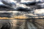 View gallery of Matthew Woodget