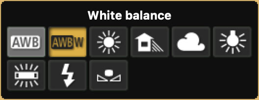 White Balance setting icons